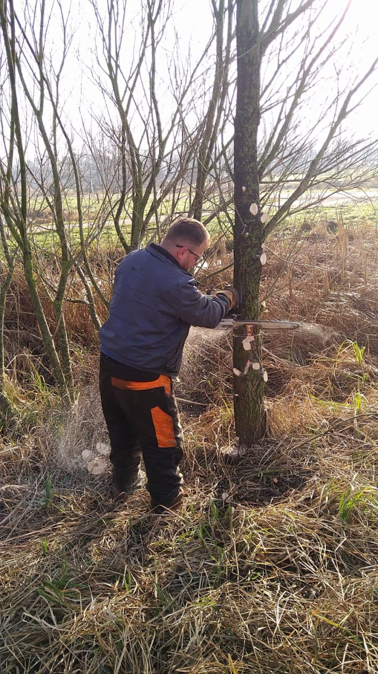 Groenvoorziening Delforterie 4